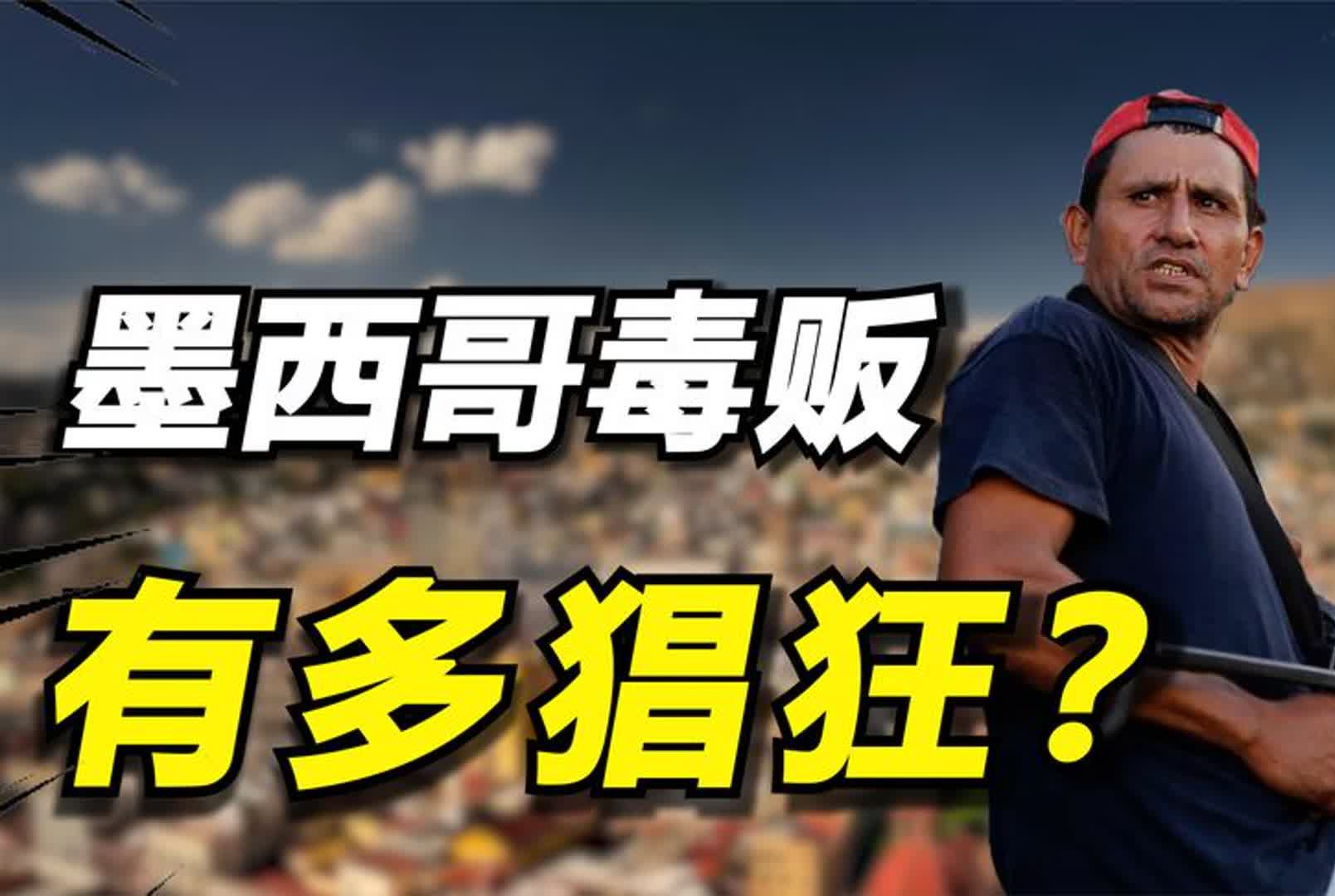 墨西哥毒贩有多猖狂?缉毒市长上任14小时被杀,为何没人能管得了