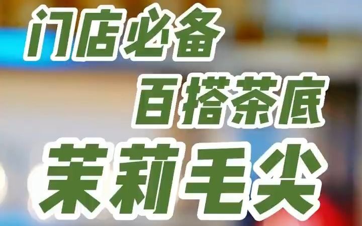 奶茶门店必备百搭茶底茉莉毛尖哔哩哔哩bilibili