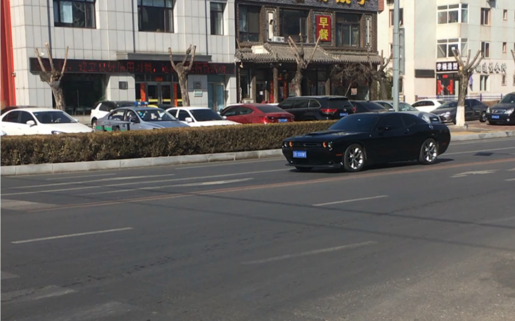 大连鞍山路街拍 道奇挑战者_哔哩哔哩_bilibili