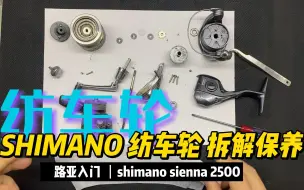 shimano sienna 2500 纺车轮拆解保养异响齿感的原因 轴承 禧玛诺 喜玛诺