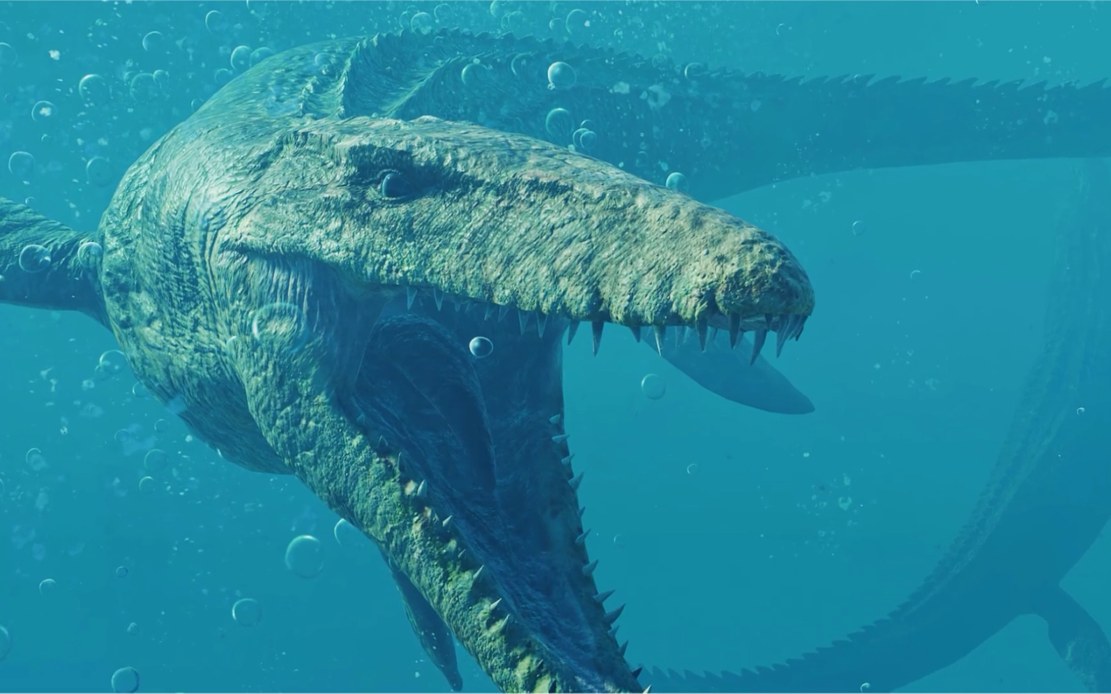 中生代海洋里最大的顶级掠食者霍夫曼沧龙mosasaurushoffmanni