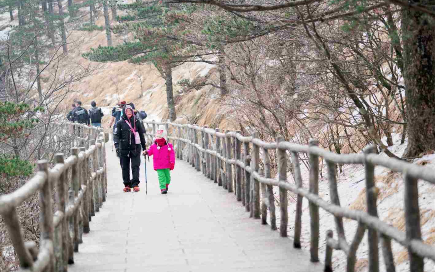 [图]如果我是一片雪花-4K