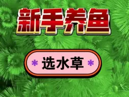 Download Video: 从0开始学养鱼【第九节】新手水草应该怎么选？大家有入过坑的假水草或者不好养的草可能发出来避避坑◇