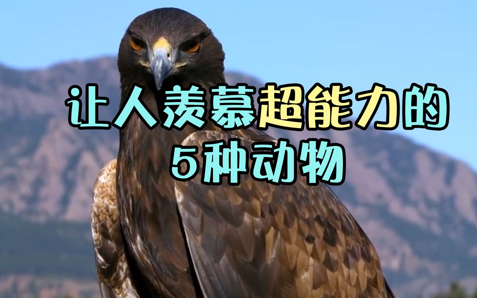 这5种拥有超能力的动物太厉害!屎壳郎上榜!