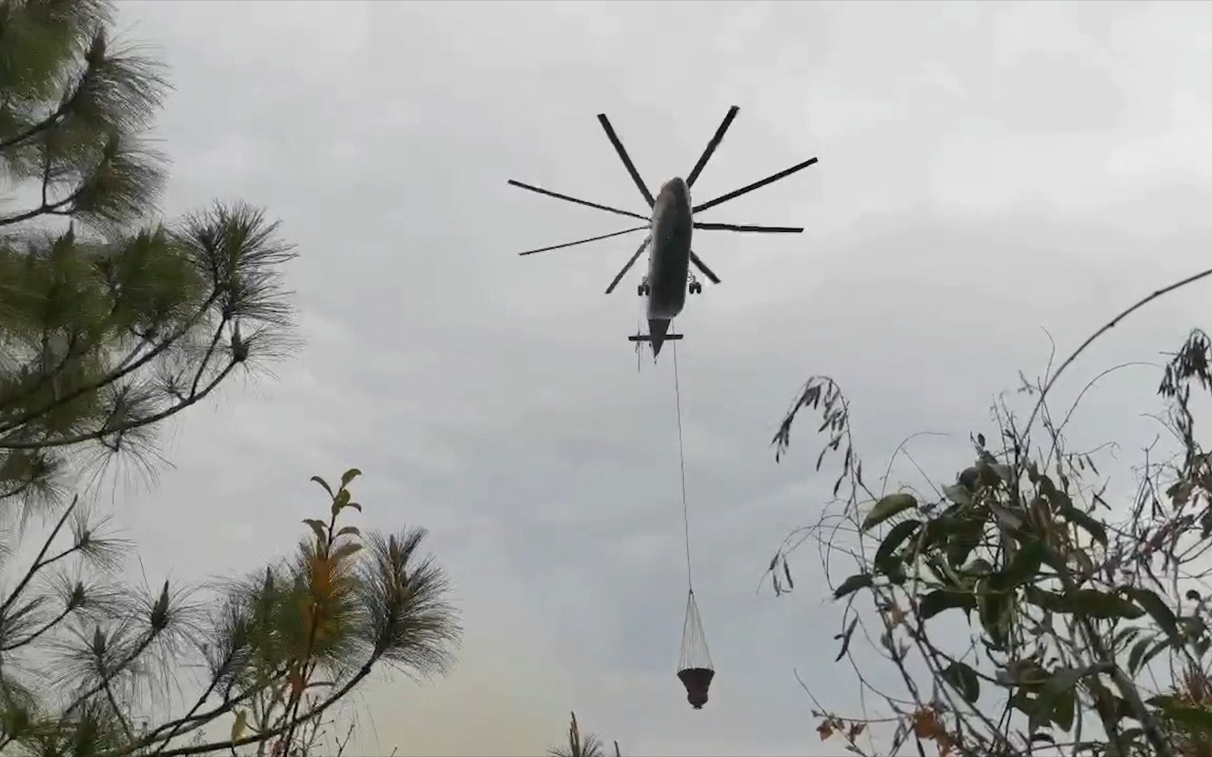 云南大理突发山火 650名专业扑火队员及直升机投入扑救