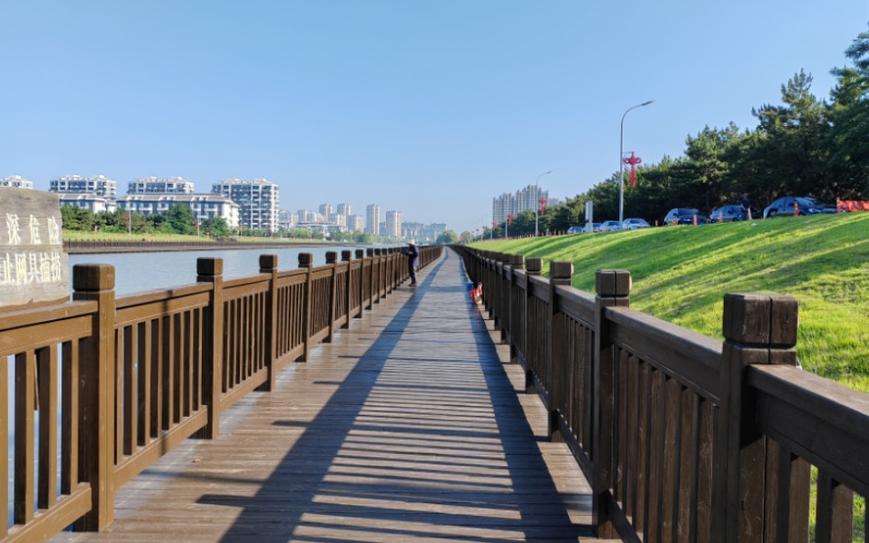 带着狗狗去旅行威海游玩篇(一)黑松林