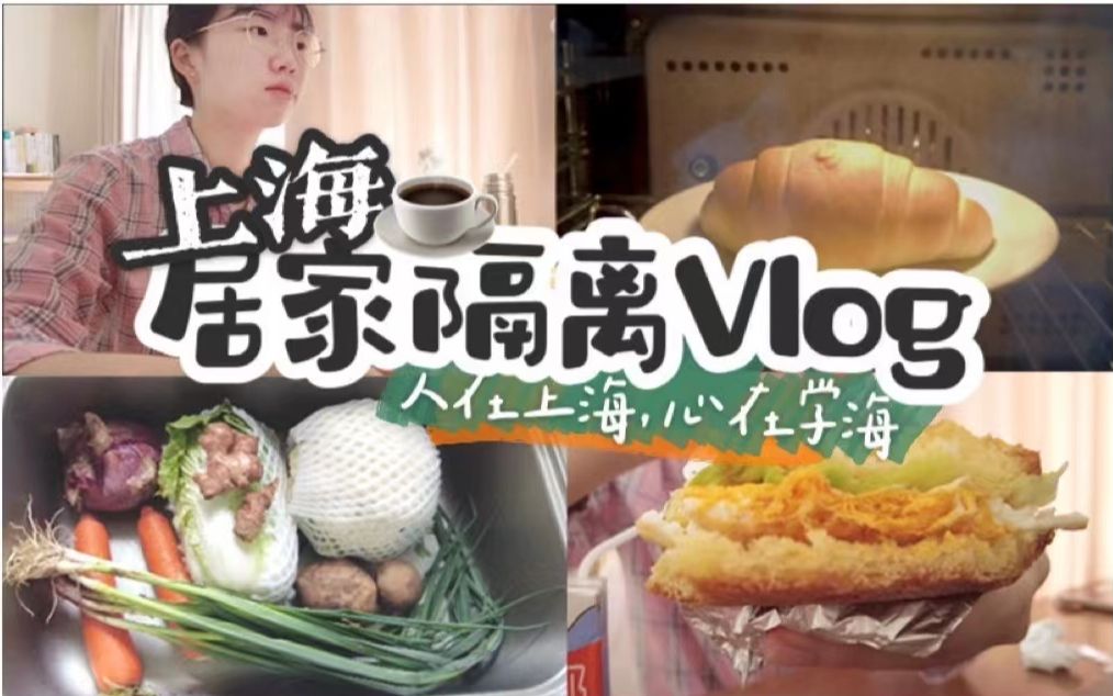 研究生居家隔离vlog|宅到失去语言能力?所谓居家隔离就是换个地方与论文斗智斗勇哔哩哔哩bilibili