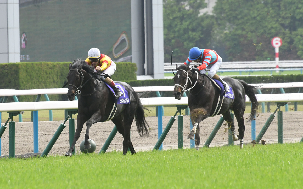 2023/4/30 天皇赏(春)(g1) 骏天宫 / ジャスティンパレス