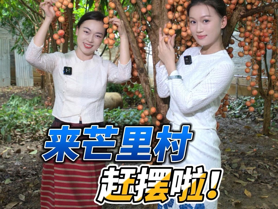 遮放镇的芒里村,这几天有赶摆活动,好吃好玩哦!哔哩哔哩bilibili