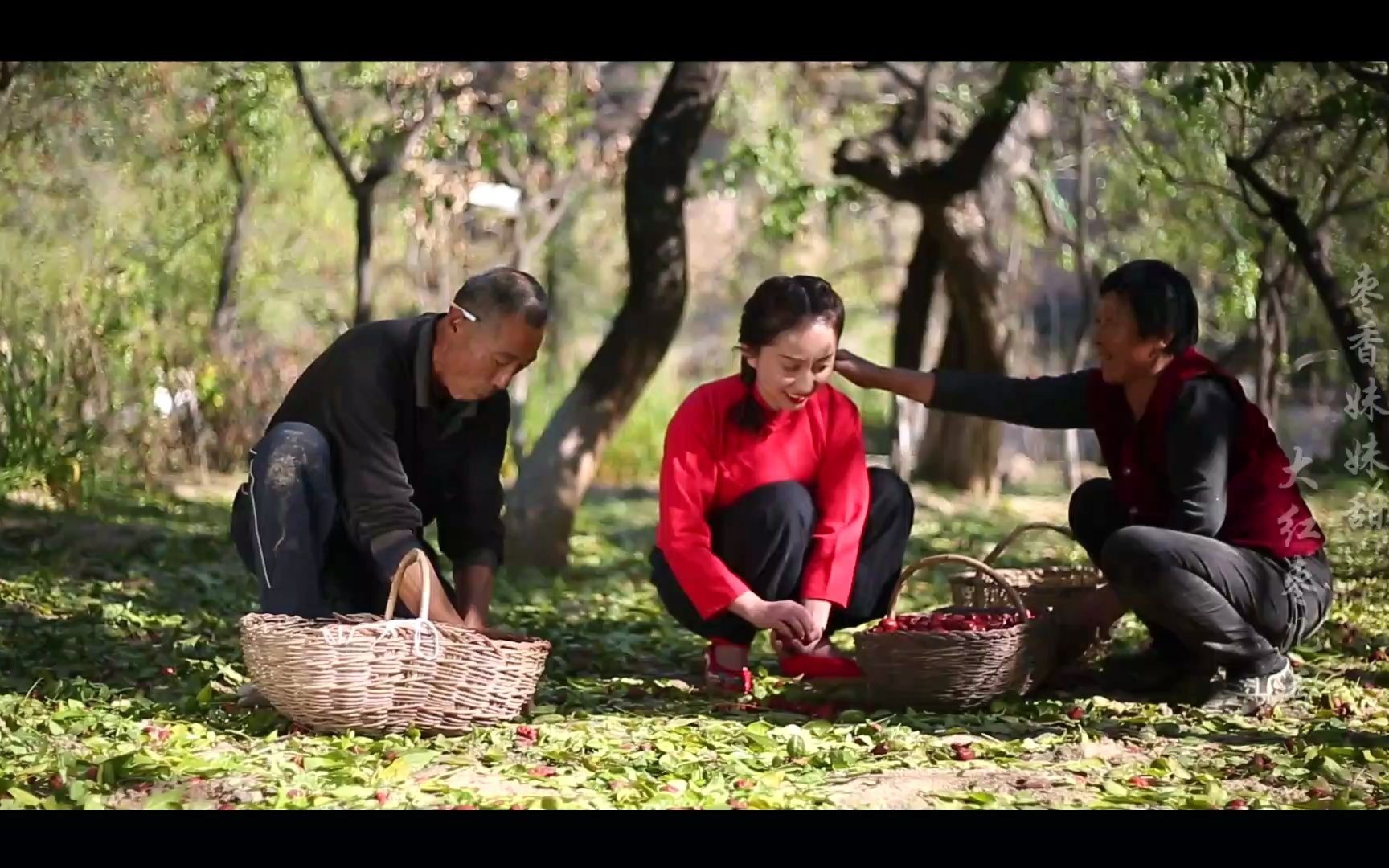 [图]佳县艳子《黄河边上的枣妹妹》MV全网发布