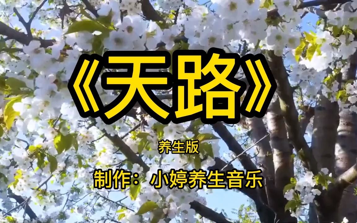 经典超好听的小提琴演奏《天路》加长版,经典旋律,直达心灵深处哔哩哔哩bilibili