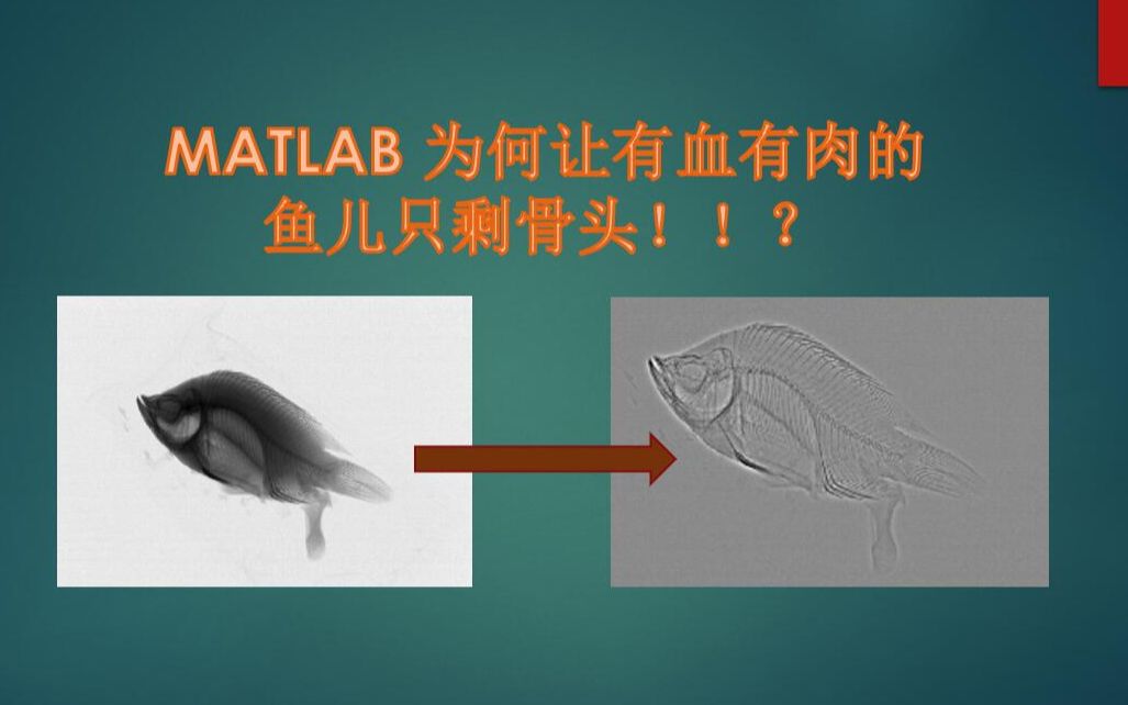 【实验】MATLAB图像处理小实验剔出鱼骨头(涉及伽马,Š图像增强以及巴特沃斯高通滤波器,开源代码)小白学习日记哔哩哔哩bilibili