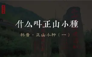 Descargar video: 科普·正山小种（一）：什么叫“正山小种”