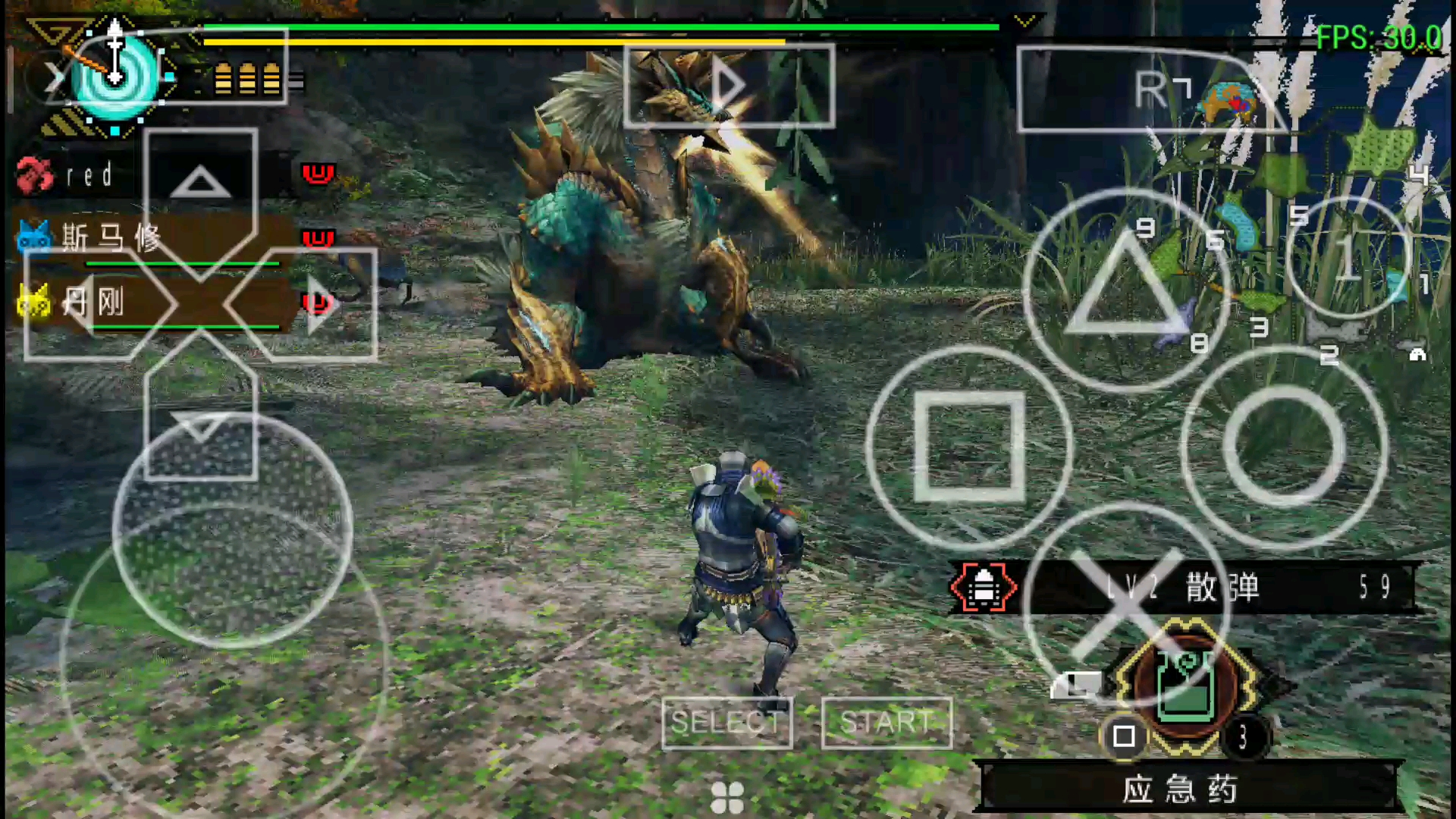 [开荒]《怪物猎人p3》重弩雷狼龙1帧