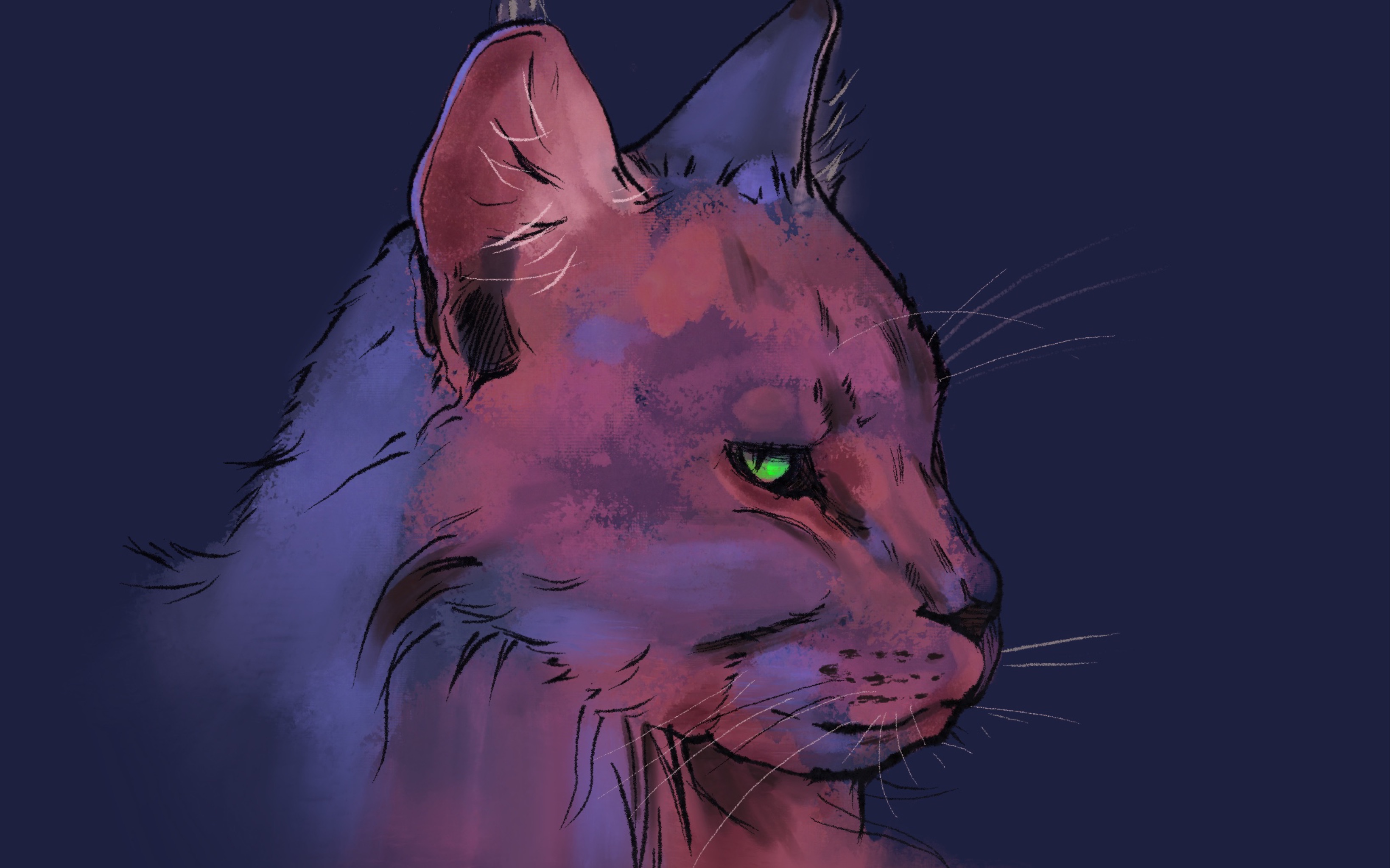 【procreate】速涂一只缅因猫头(ipad绘画)