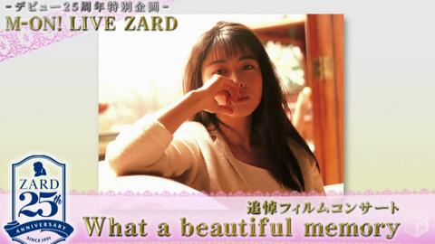 4K ZARD】《ZARD What a beautiful memory 2008》演唱会2021年黑科技4K