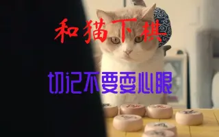 精品短视频-和猫下棋时，切记不要耍心眼儿