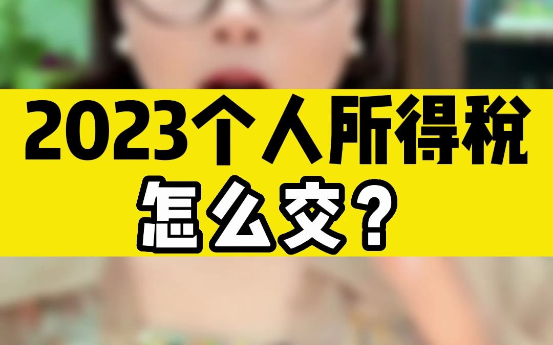 2023个人所得税怎么交?个人所得税征收标准2023哔哩哔哩bilibili