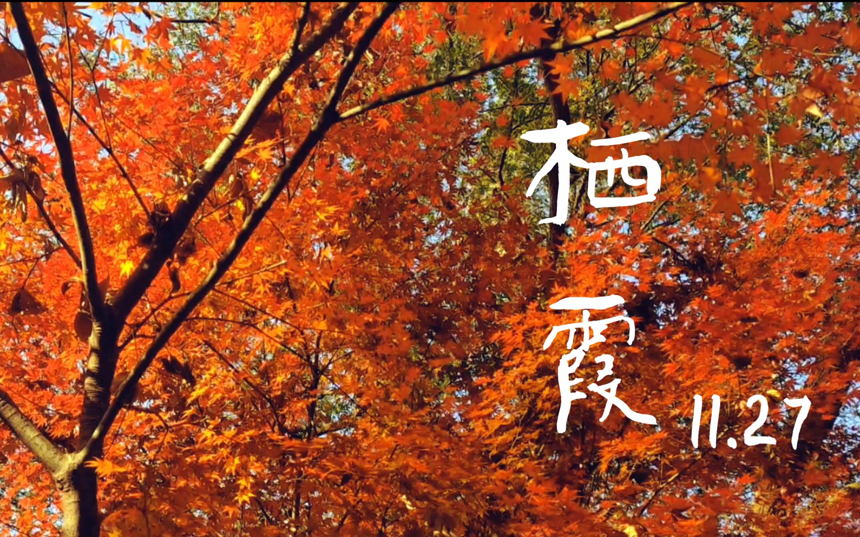 【南京/栖霞】少年何日归故里,又见当年枫叶城 .