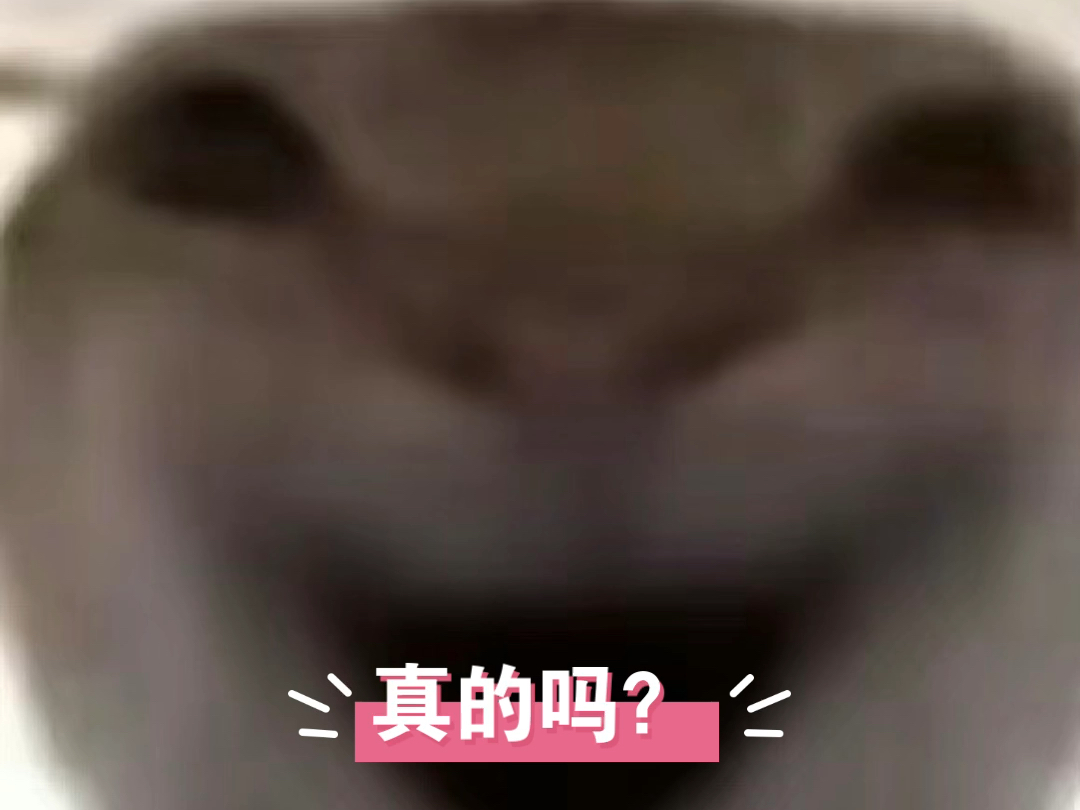 【猫脸特写】猫咪表情包大集合!| 阿米诺斯 求粉哔哩哔哩bilibili