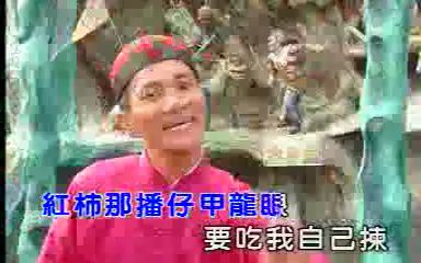 【台湾乡土民歌】【乡土歌神】【中文字幕】西公歌 by 王雷哔哩哔哩bilibili