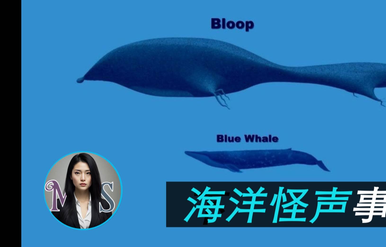 1997年诡异海洋怪声「The Bloop 」,超过蓝鲸的巨型生物?哔哩哔哩bilibili