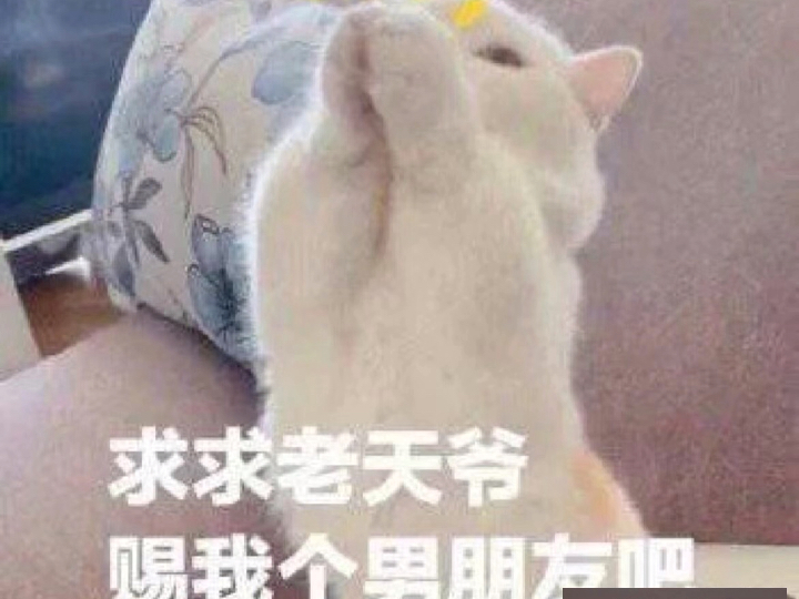 我的爱情在哪里哔哩哔哩bilibili