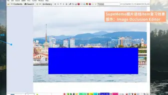 SuperMemo一键图片遮挡/挖空_Item复习效果_【教程看简介】