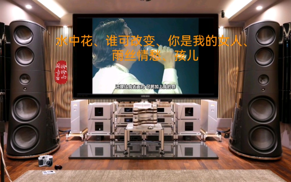 [图]谭咏麟香港大球场《94纯金曲演唱会》—水中花、谁可改变、你是我的女人、雨丝情愁、孩儿