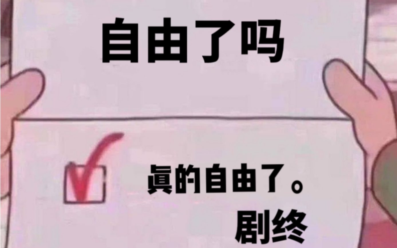 自由了.哔哩哔哩bilibili