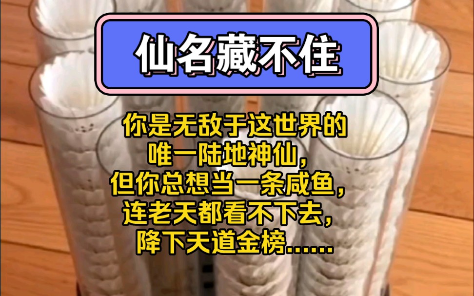 [图]你是无敌于这世界的唯一陆地神仙，但你总想当一条咸鱼，连老天都看不下去，降下天道金榜......