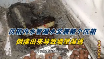 沉箱内水管漏水装满整个沉箱，倒灌出来导致墙壁湿透