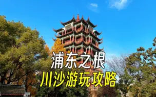 Descargar video: 浦东之根，川沙游玩攻略