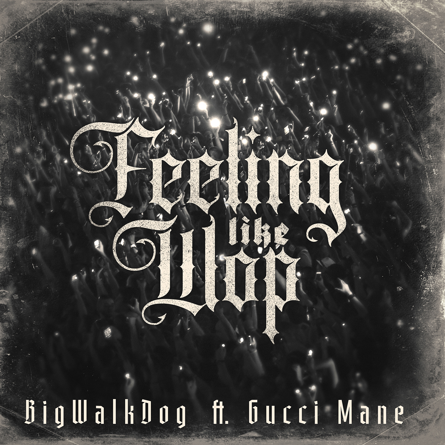 [图]Feeling Like Wop (feat. Gucci Mane) - BigWalkDog