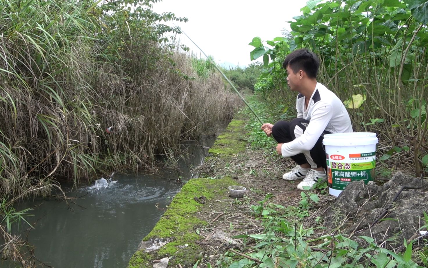 野钓:没想到这防洪渠竟是狂口,刚下竿就猛咬钩,连杆真过手瘾哔哩哔哩bilibili