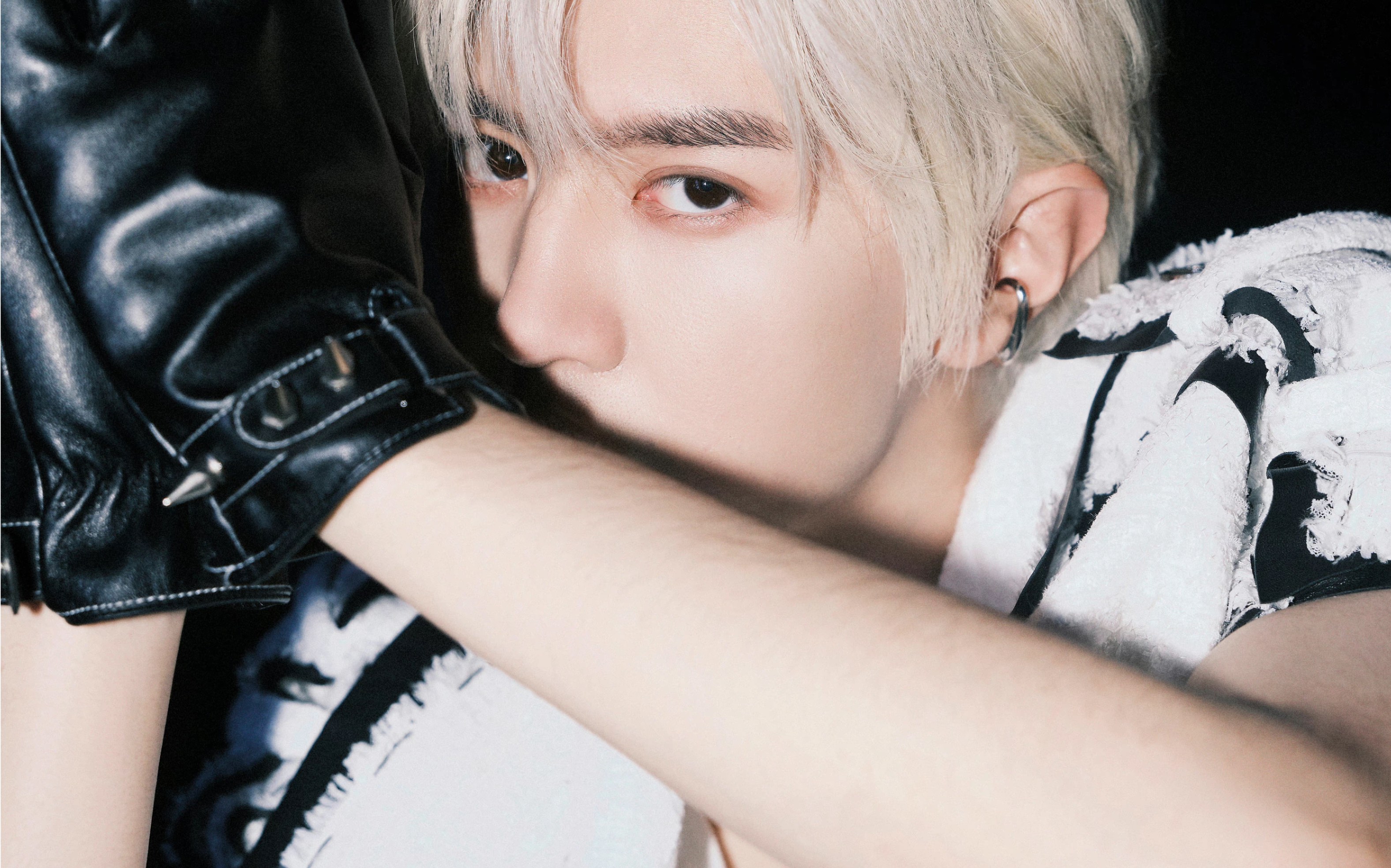 陈哲远考古还能发现这么可爱的圆圆