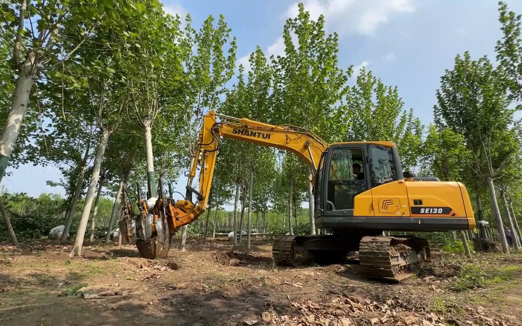 挖掘机带挖树机机头也能一分钟一棵树!