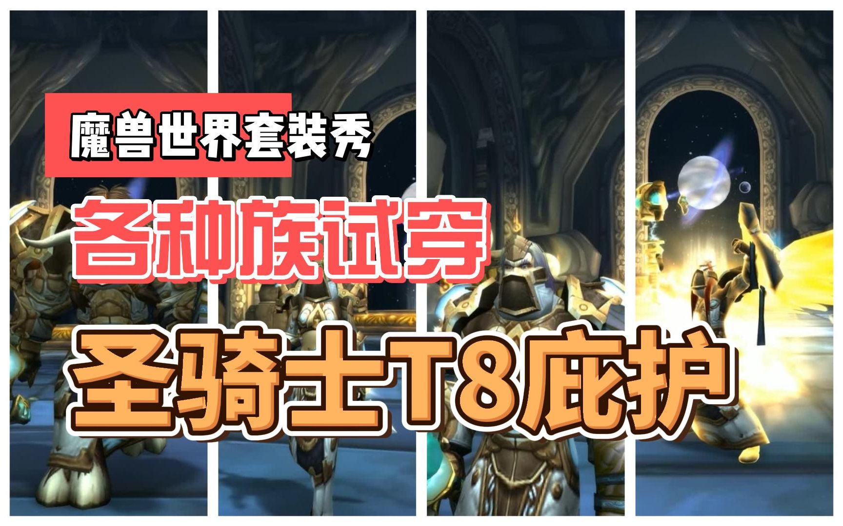 魔兽世界全种族套装-圣骑士t8庇护