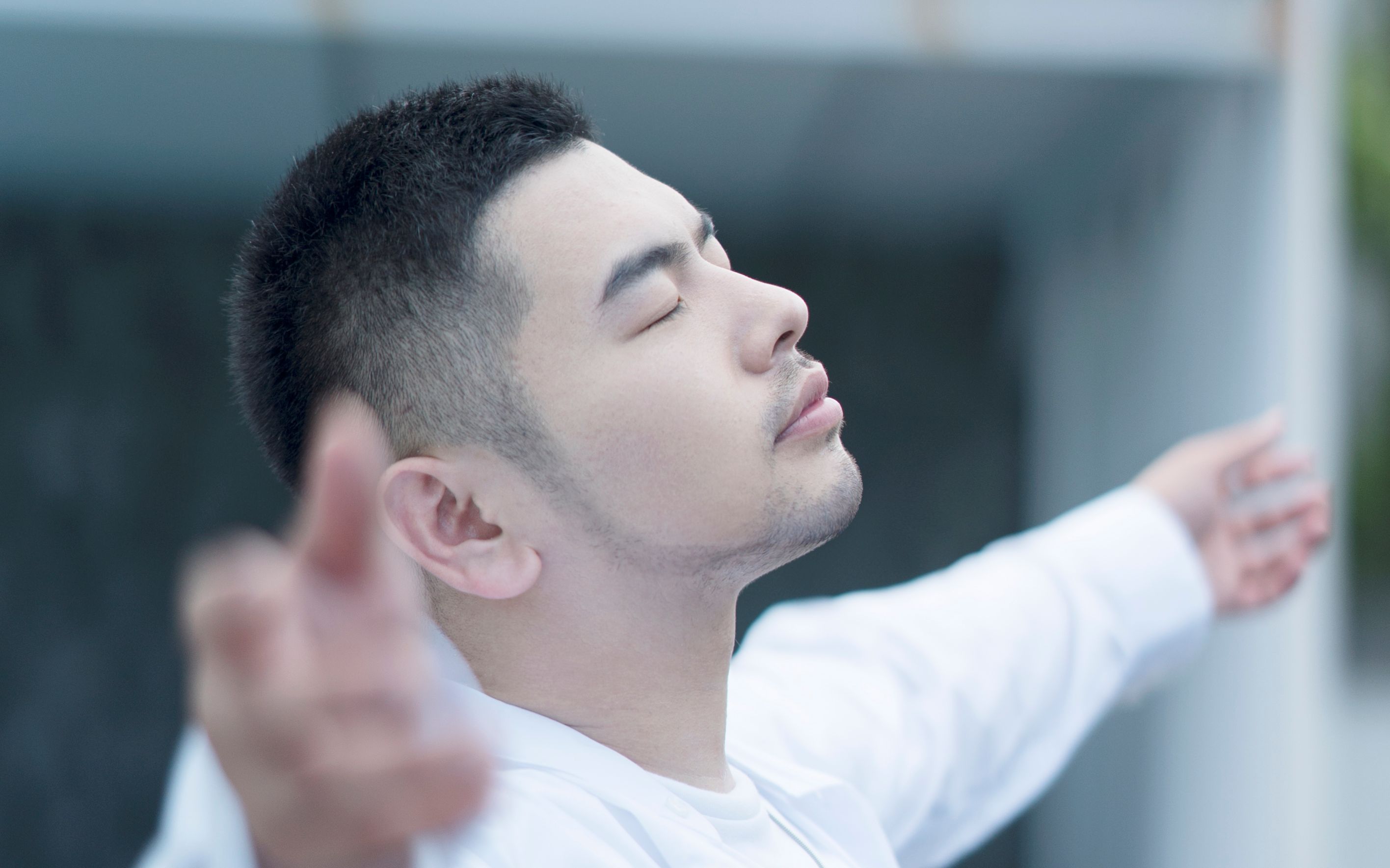 整修中饭制熊猫堂成员介绍主舞十七君同学