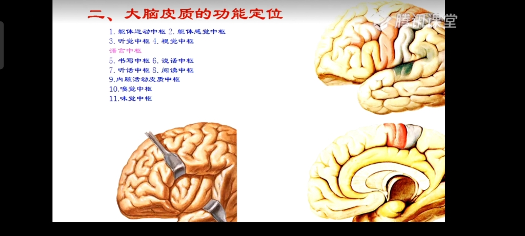 [图]网课基础医学概论之大家都有神经病