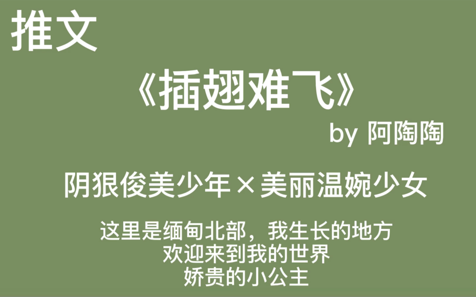 【推文】欢迎来到我的世界,娇贵的小公主.《插翅难飞》哔哩哔哩bilibili