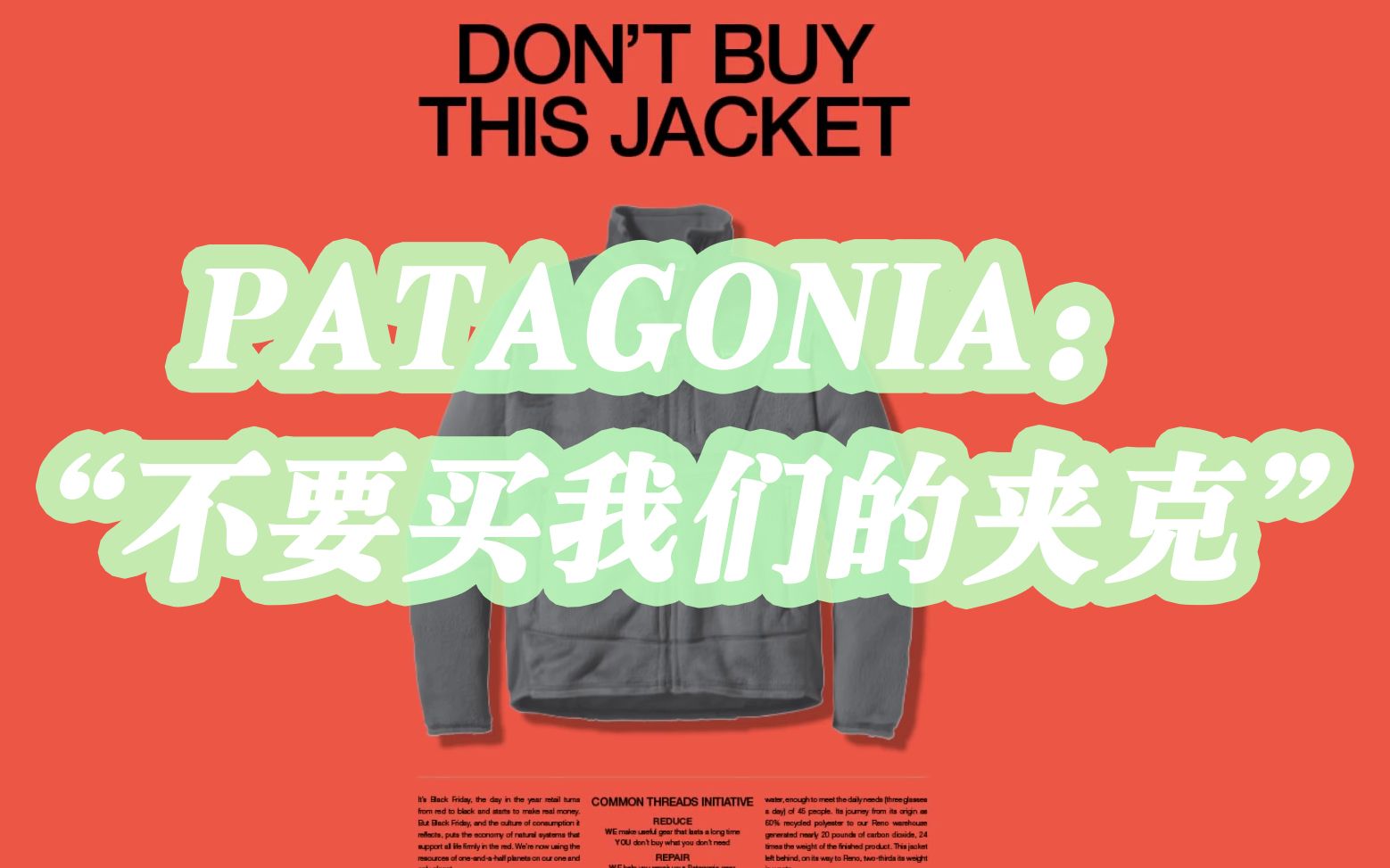 环保小标兵 Patagonia 的可持续哲学与消费者经营悖论【中字】哔哩哔哩bilibili