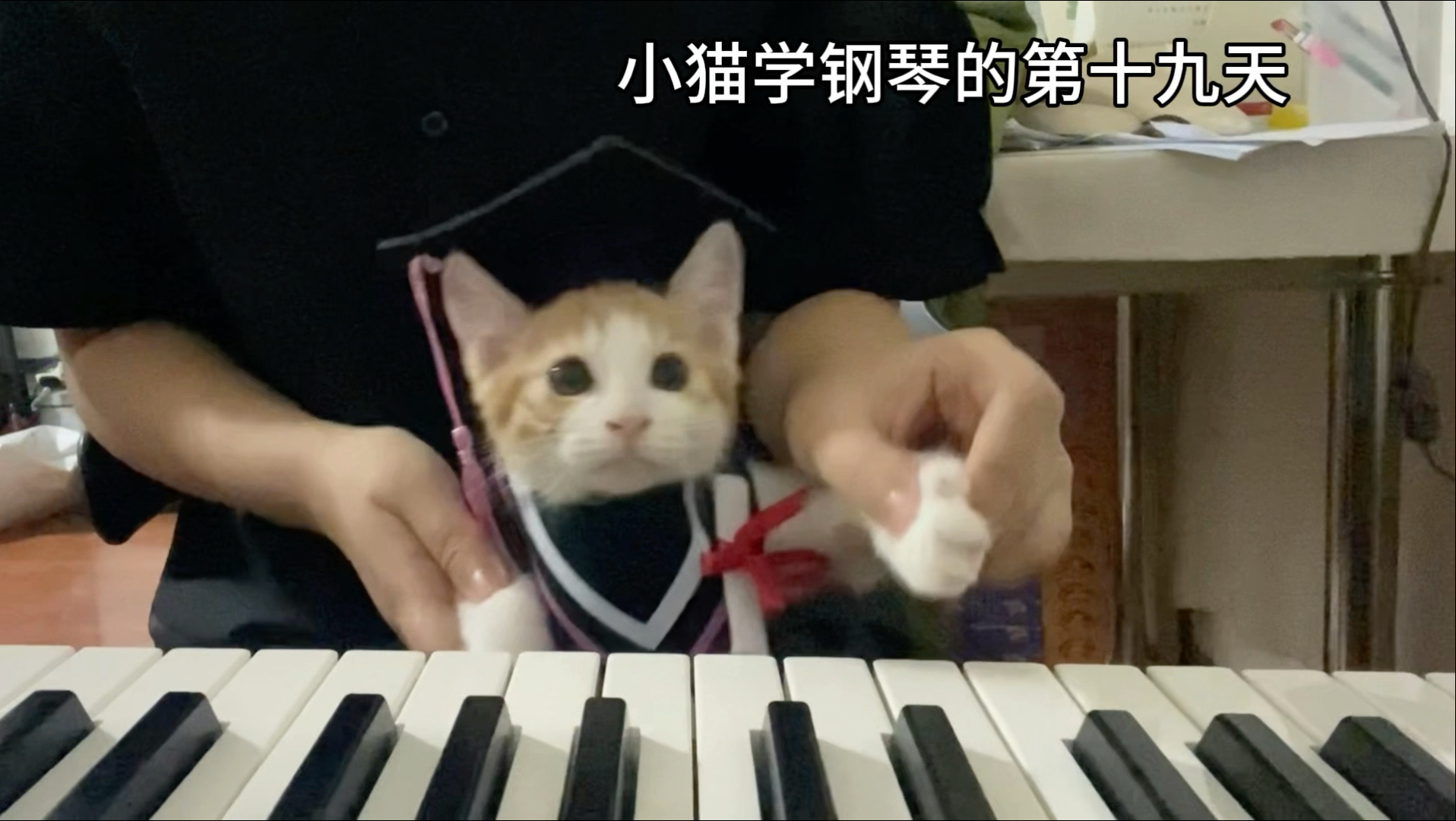 如果感到幸福你就拍拍手肖邦的妹妹肖茂咪弹奏《幸福拍手歌》