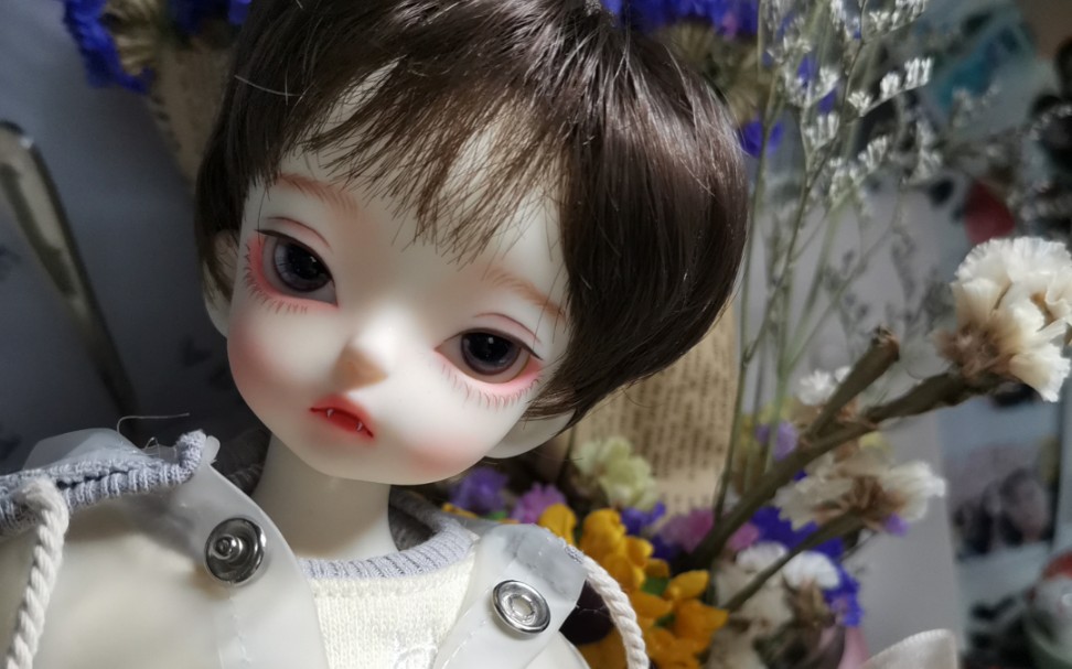 bjdsoom果蝠恭喜我第一只崽崽出生视频留念