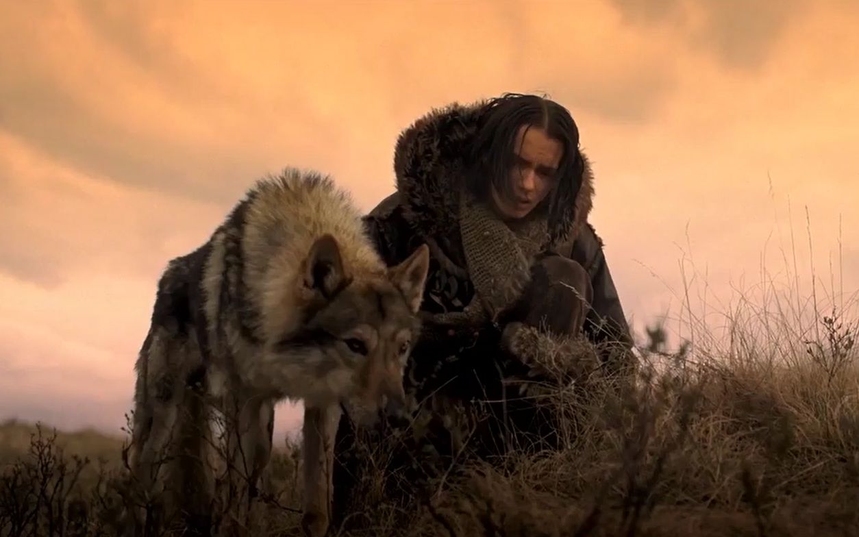 阿尔法狼伴归途:狼在和小伙的相处中,渐渐产生了感情_哔哩哔哩_bili