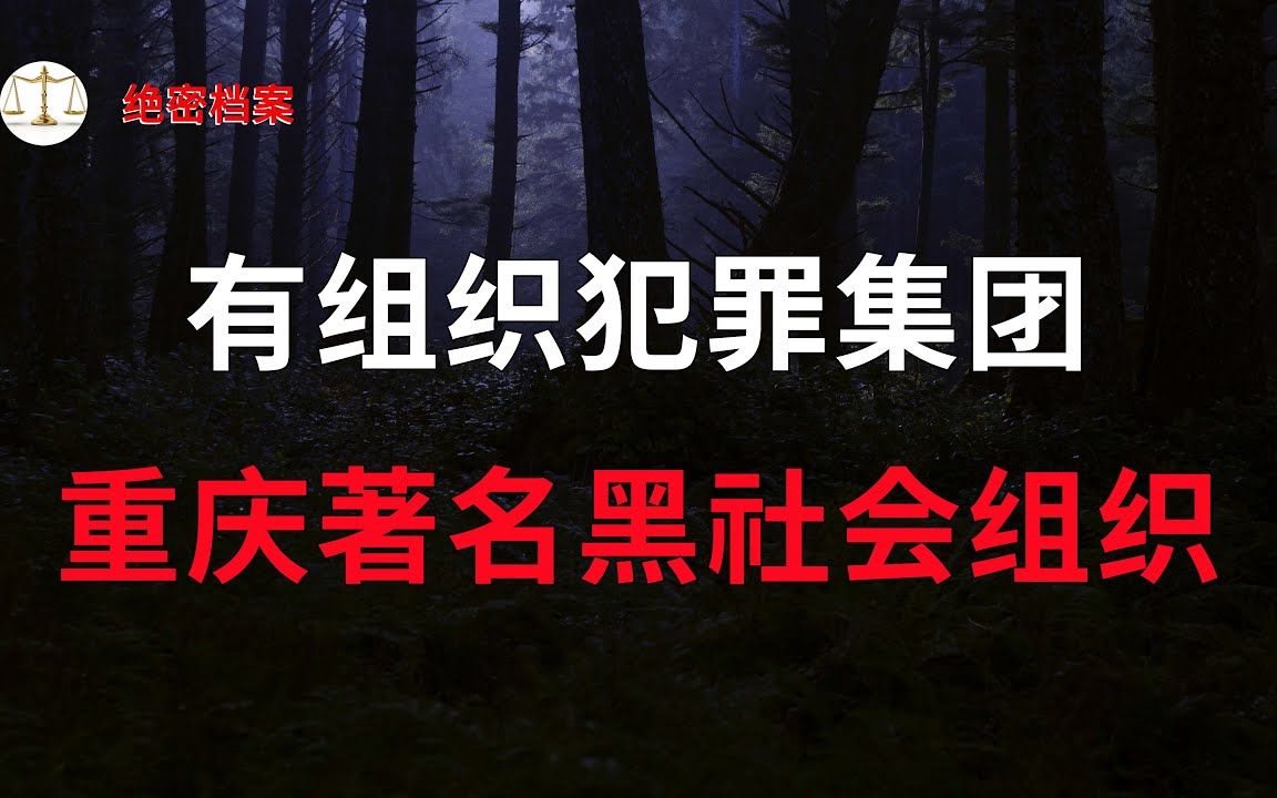 重庆令人咬牙切齿的黑社会,作下性质极其恶劣的刑事大案,成为团伙覆灭的导火索  大案要案纪实录  绝密档案哔哩哔哩bilibili