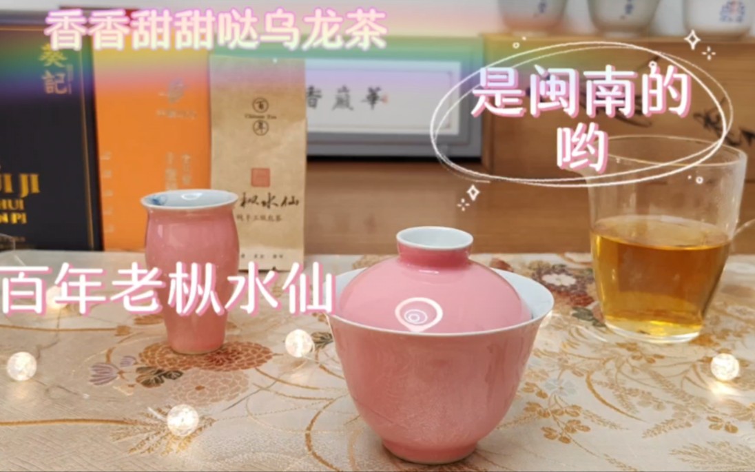 百年老枞水仙 香香甜甜的闽南乌龙茶 今日份来喝!!哔哩哔哩bilibili