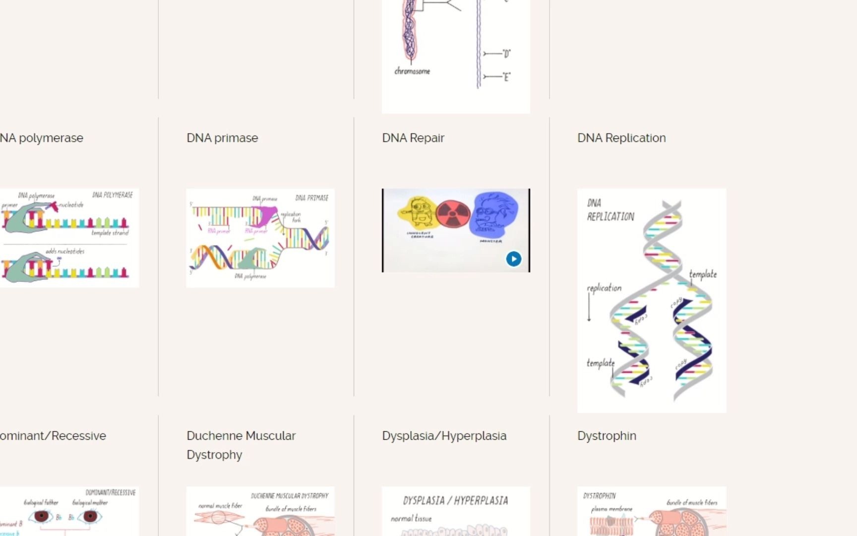 [图]【生物学专业英语】Xbio 名词解释速过