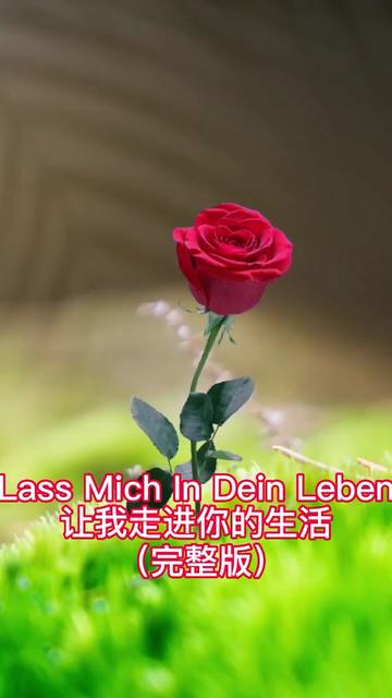 [图]《Lass Mich In Dein Leben/让我走进你的生活》 这首歌曲由德国流行歌手海伦费舍尔演唱。