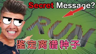 我的世界：Preston老哥鉴定网络奇葩种子
